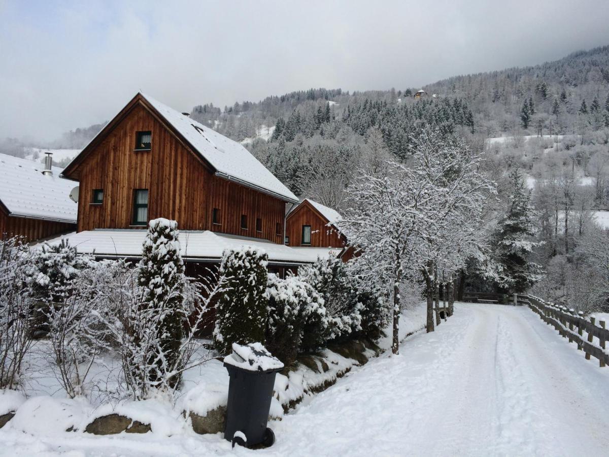 Alpenferienhaus Kreischberg Sankt Lorenzen ob Murau Exterior photo